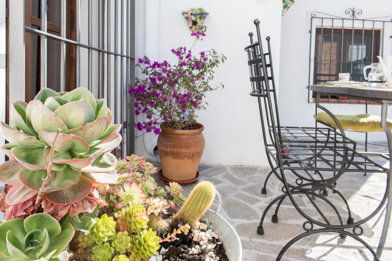 Villa Aurora Nijar Parque Natural Cabo Gata Экстерьер фото