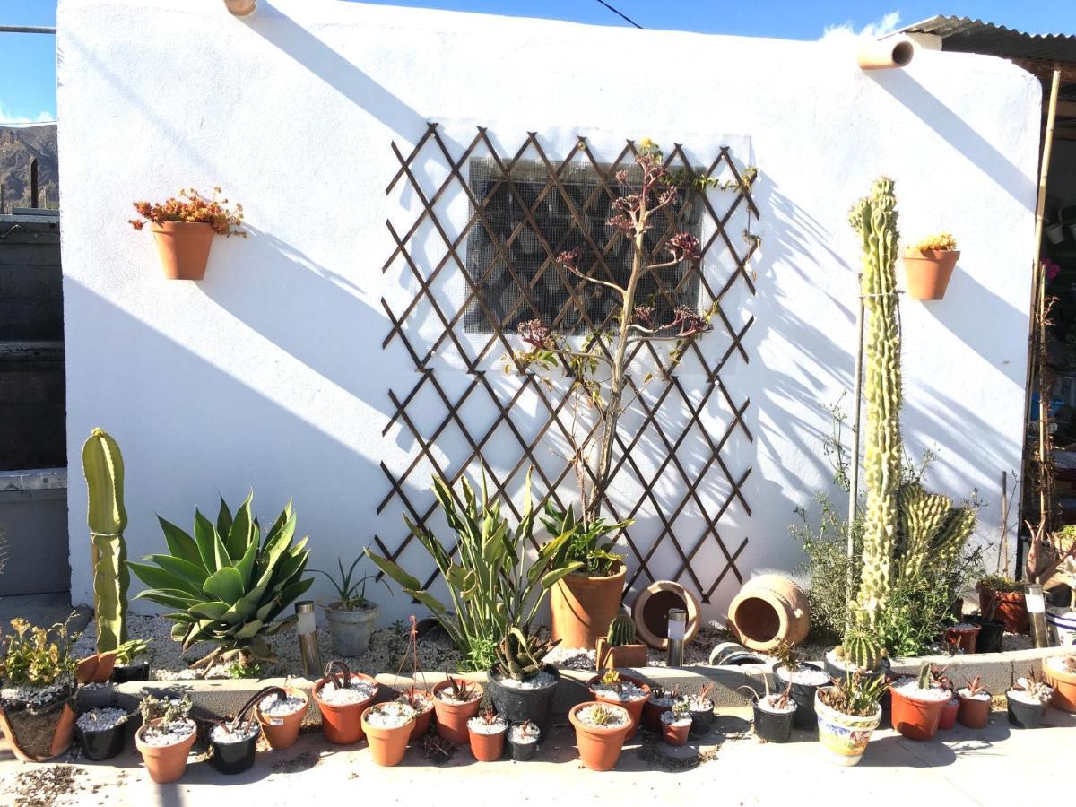 Villa Aurora Nijar Parque Natural Cabo Gata Экстерьер фото